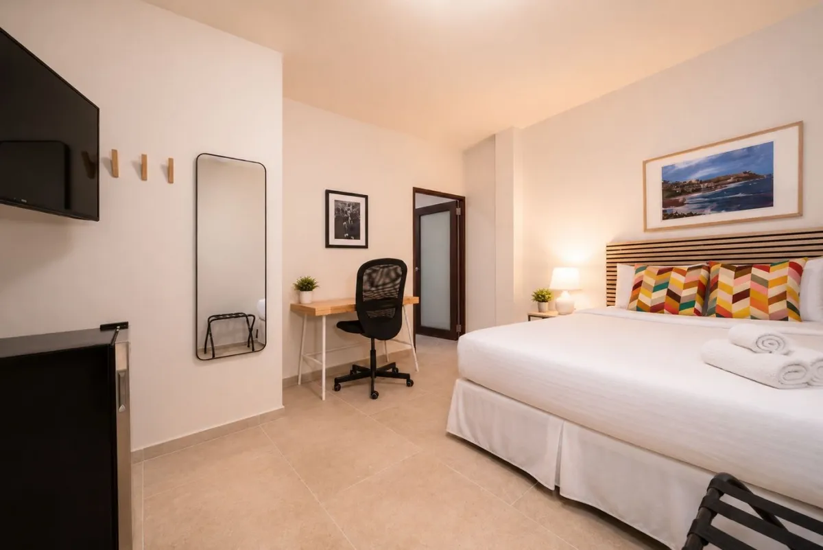 The Luz Suite